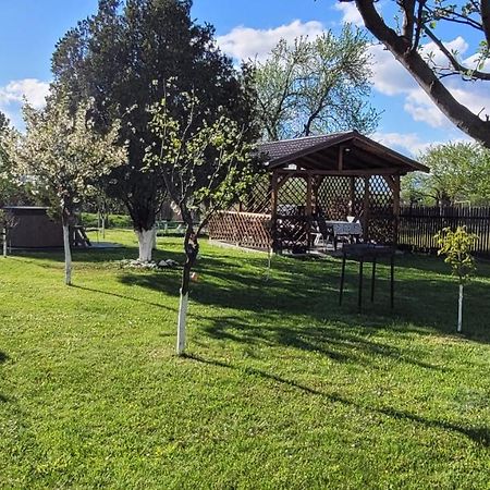 הוילה Rîşnov Casa Dana מראה חיצוני תמונה