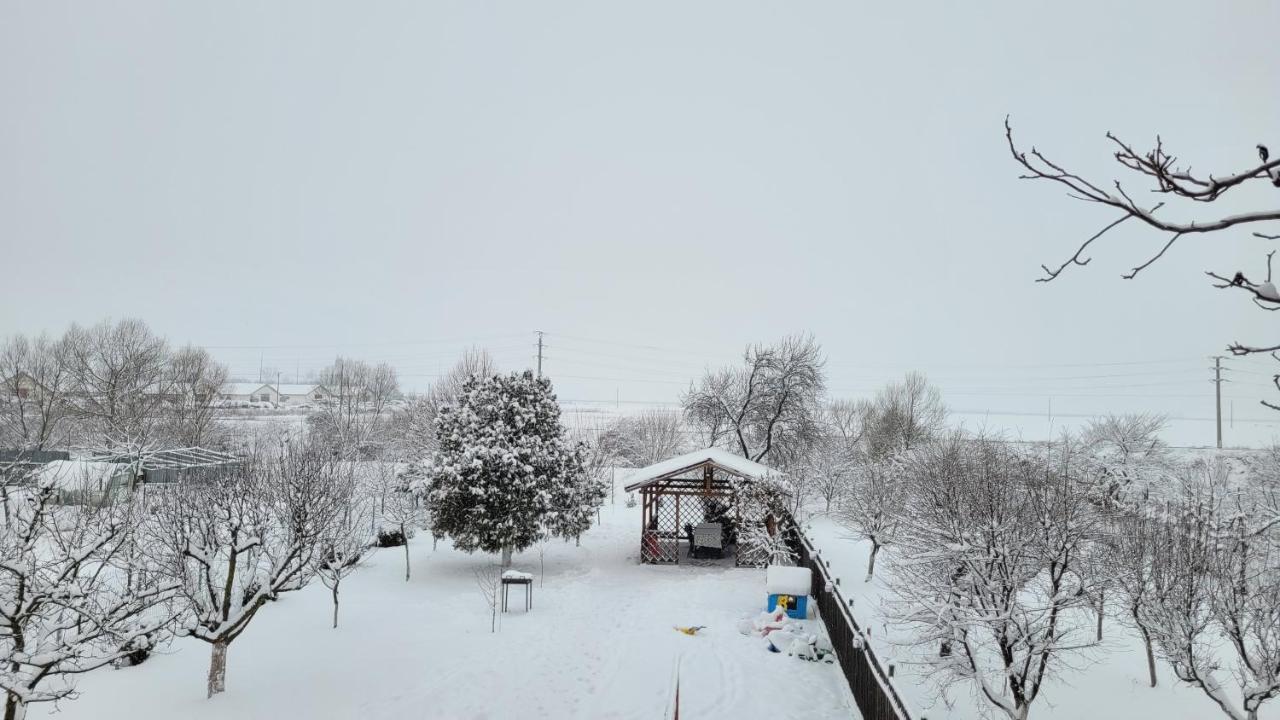 הוילה Rîşnov Casa Dana מראה חיצוני תמונה