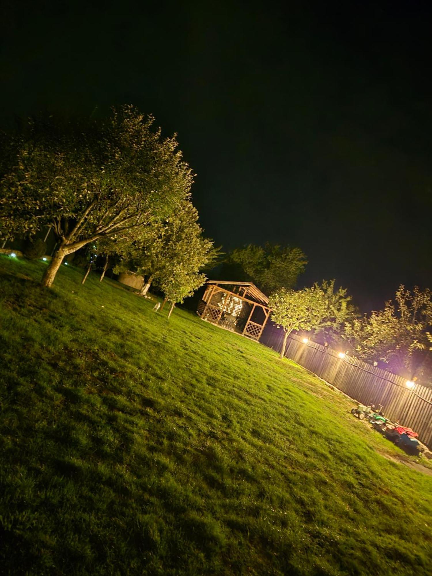 הוילה Rîşnov Casa Dana מראה חיצוני תמונה